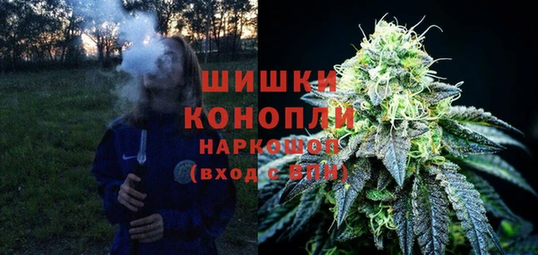 прущие грибы Абдулино