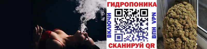 Каннабис Bruce Banner  Вышний Волочёк 